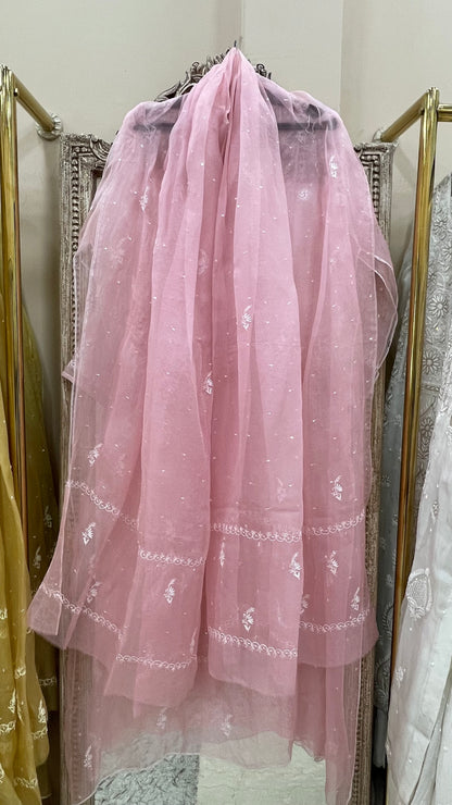Pure Organza Semistiched Straight With Chickan And Addon Work Pink