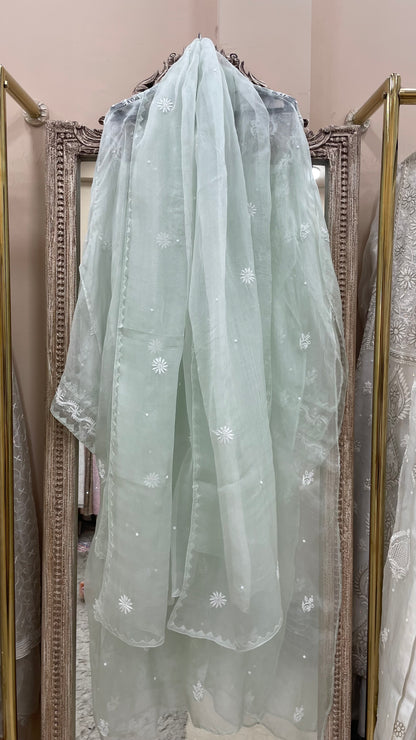 Pure Organza Semistiched Straight With Chickan And Addon Work Sage Green