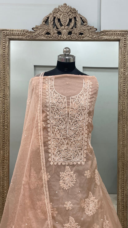 Semi Organza Straight Pearl And Work With Dupatta Peach
